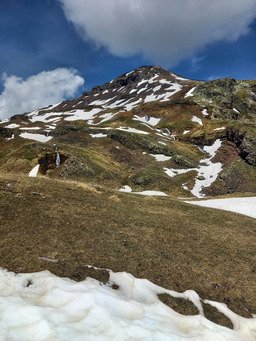 Rencontre incroyable au puy des Pourroys 🤩