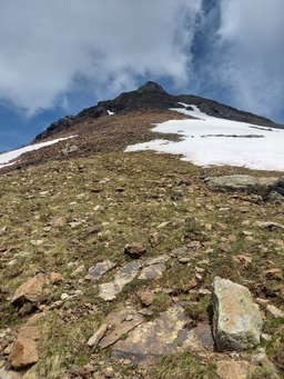 Rencontre incroyable au puy des Pourroys 🤩