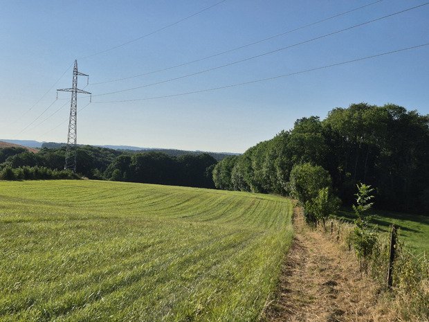 Sortie matinale