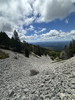 Rando Mont Ventoux