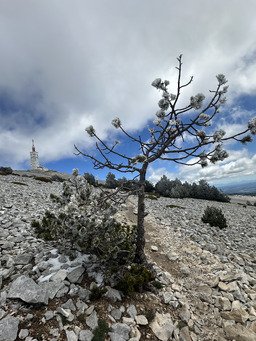Rando Mont Ventoux