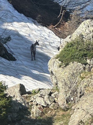 Rando Lac du Crouzet 