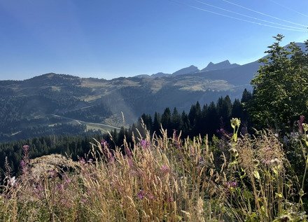 Avoriaz, Lac de Montriond, Cascade de Brochaux 