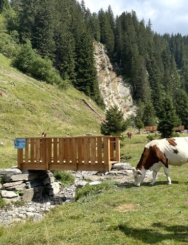 Avoriaz, Lac de Montriond, Cascade de Brochaux 