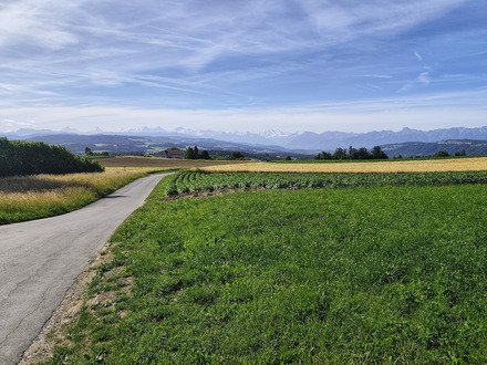Dans les trous de l'Emmental 