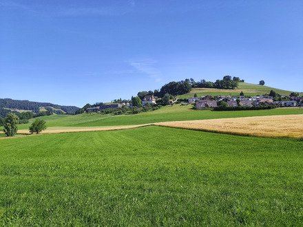 Dans les trous de l'Emmental 