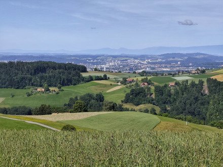 Dans les trous de l'Emmental 