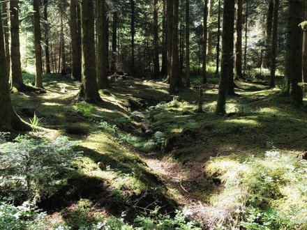 Dans les trous de l'Emmental 