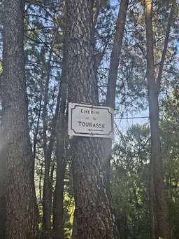 Tirer son &eacute;pingle du jeu dans cette chaleur
