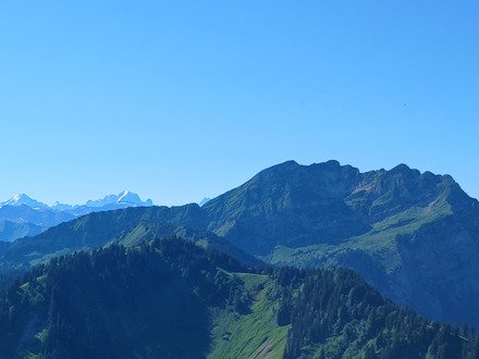 Retour aux Sources