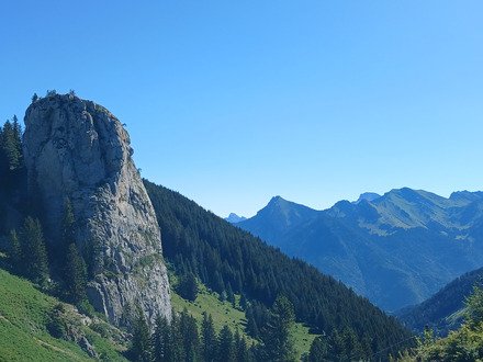 Retour aux Sources