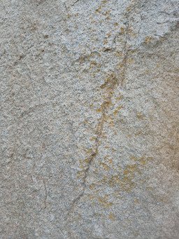 Le Chant des Druides