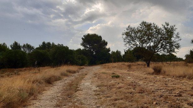 Running proven&ccedil;al