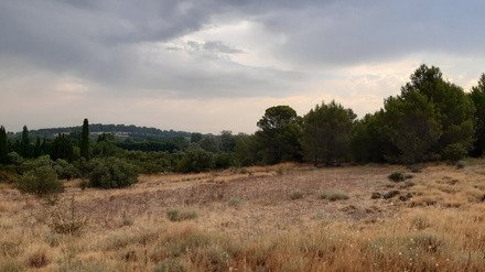 Running proven&ccedil;al