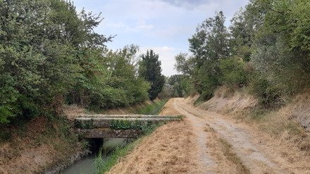 Running proven&ccedil;al