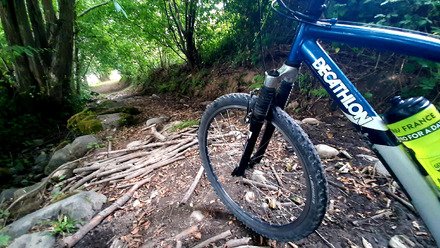 VTT bois&eacute;, c'est bien bon !