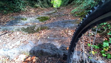 VTT bois&eacute;, c'est bien bon !