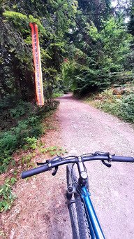 VTT bois&eacute;, c'est bien bon !