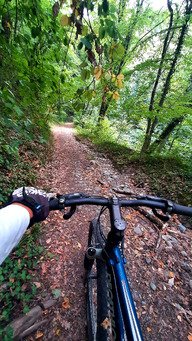 VTT bois&eacute;, c'est bien bon !