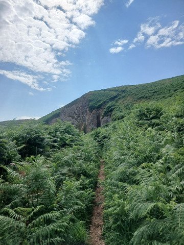 GR34, de Plouezoc&rsquo;h &agrave; Beg an Fry