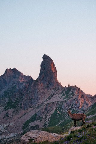 Pierra menta