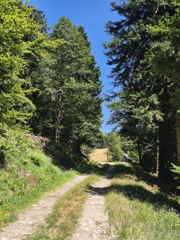 Le Grand Ventron, loin des foules. 