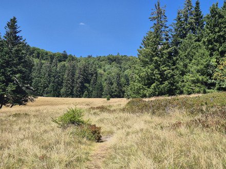 Le Grand Ventron, loin des foules. 