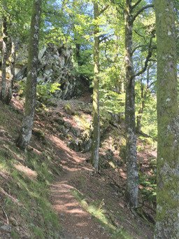 Le Grand Ventron, loin des foules. 
