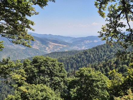 Le Grand Ventron, loin des foules. 