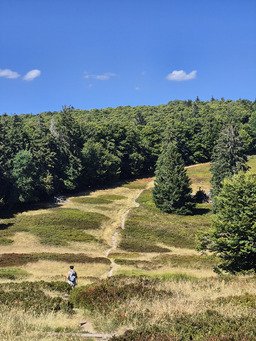 Le Grand Ventron, loin des foules. 