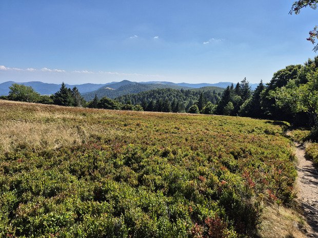 Le Grand Ventron, loin des foules. 