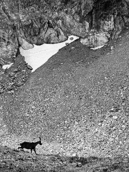 L'&eacute;toile des glaciers 