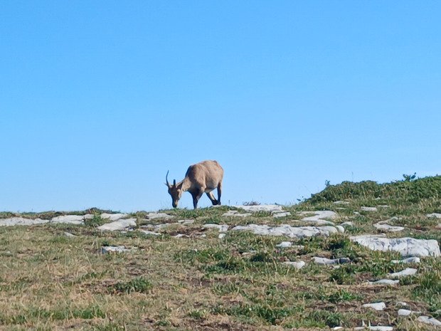 Un tour dans Les Bornes