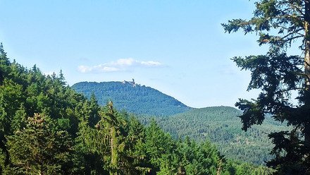 Travers&eacute;e du Massif des Vosges sur le GR53 et le GR5 (du 18 au 24 juillet 2026)