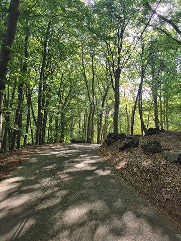 Col des Pontis.