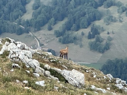 Rando Petit et Grand Som