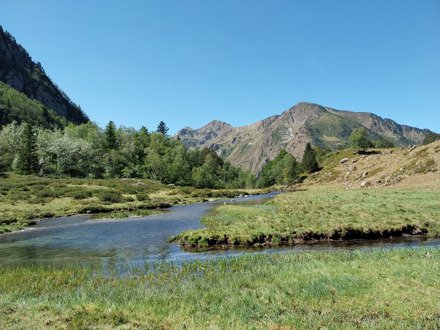 Baxouillade -Orlu