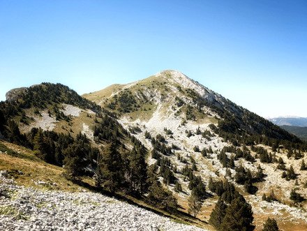 Dans le Vercors...