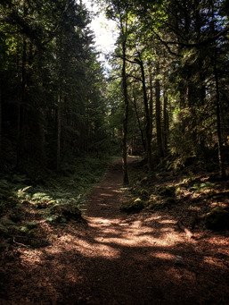 Dans le Vercors...