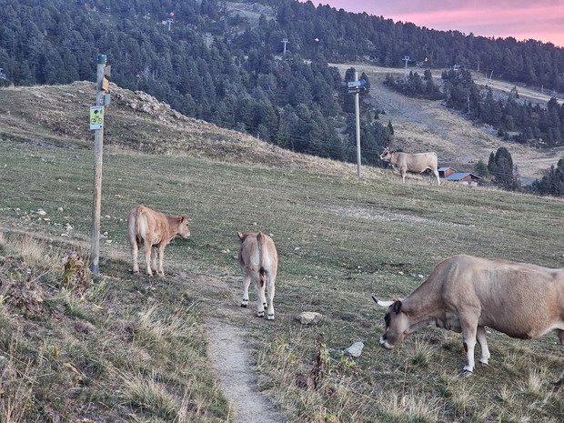 Sunset session : tour de Chamrousse en VTTAE