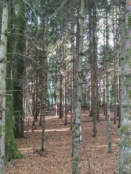 Prise d'air 