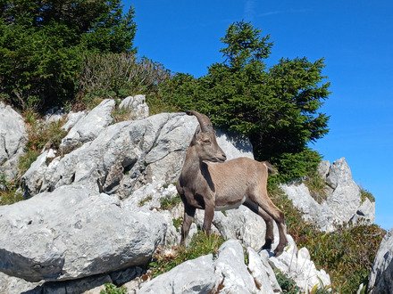 Retour au Paradis