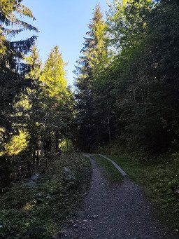 Wiriehorn version &eacute;t&eacute; 