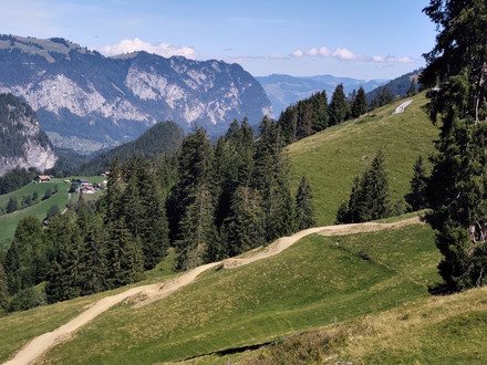 Wiriehorn version &eacute;t&eacute; 