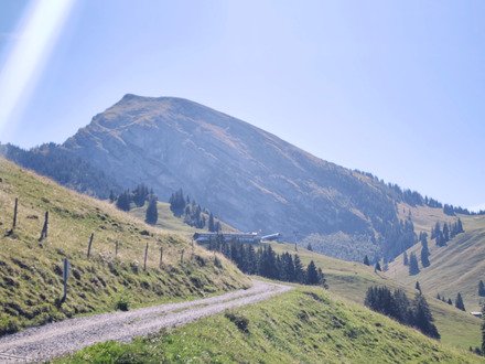 Wiriehorn version &eacute;t&eacute; 