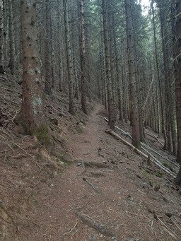 Le Trelod, par la dent de Pleuven. 