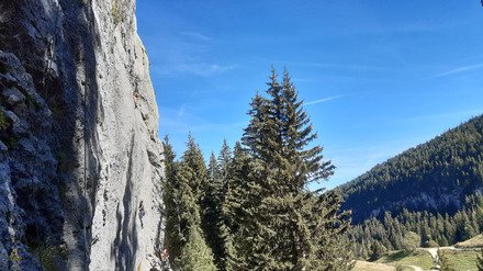 Ablon, le site majeur de la yaute