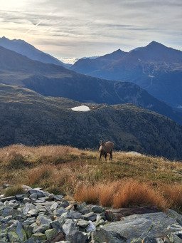 Dome de Chasseforet 