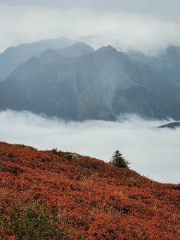 Fondue tout la-haut