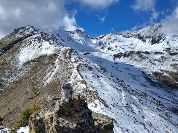 La neige fait son retour 🤩🤩